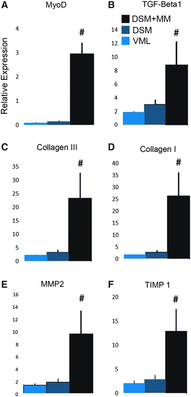 FIG. 8.