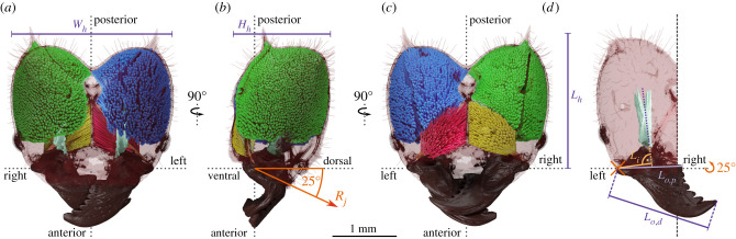 Figure 2. 