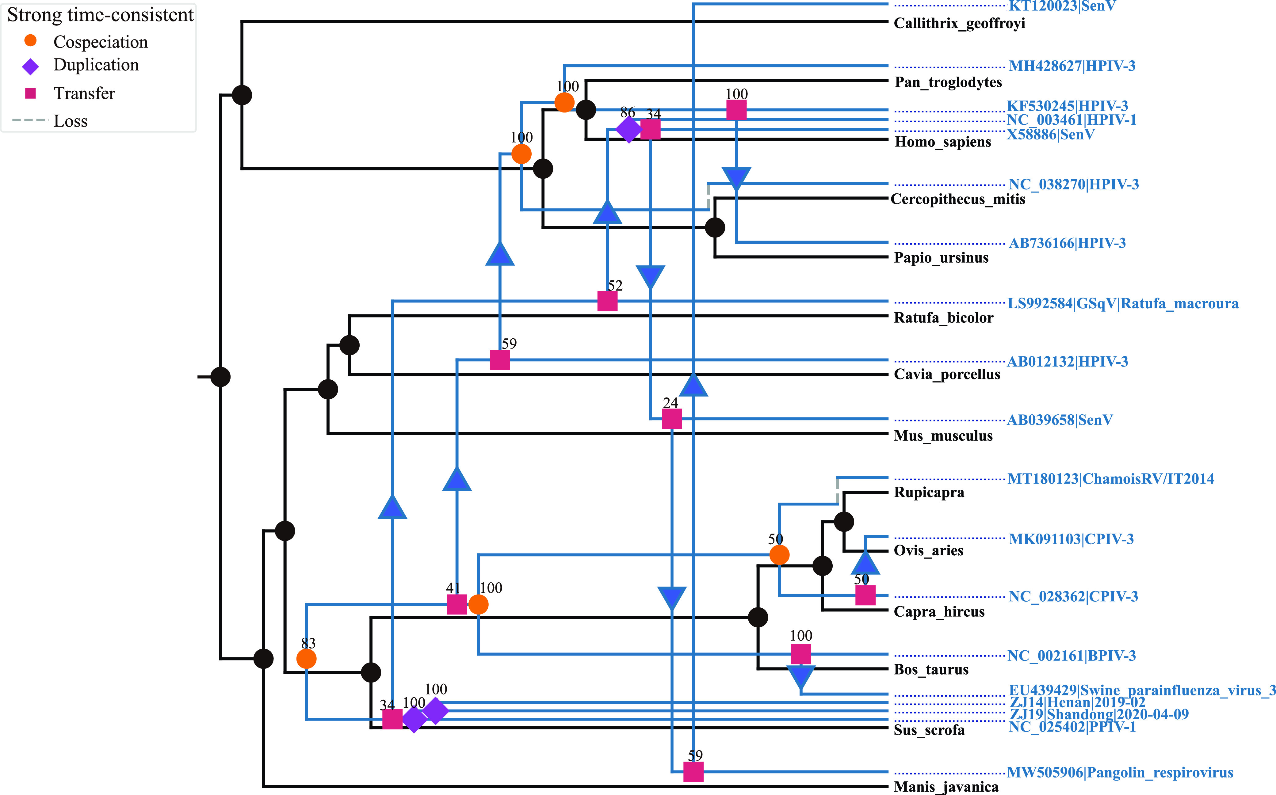 FIG 5