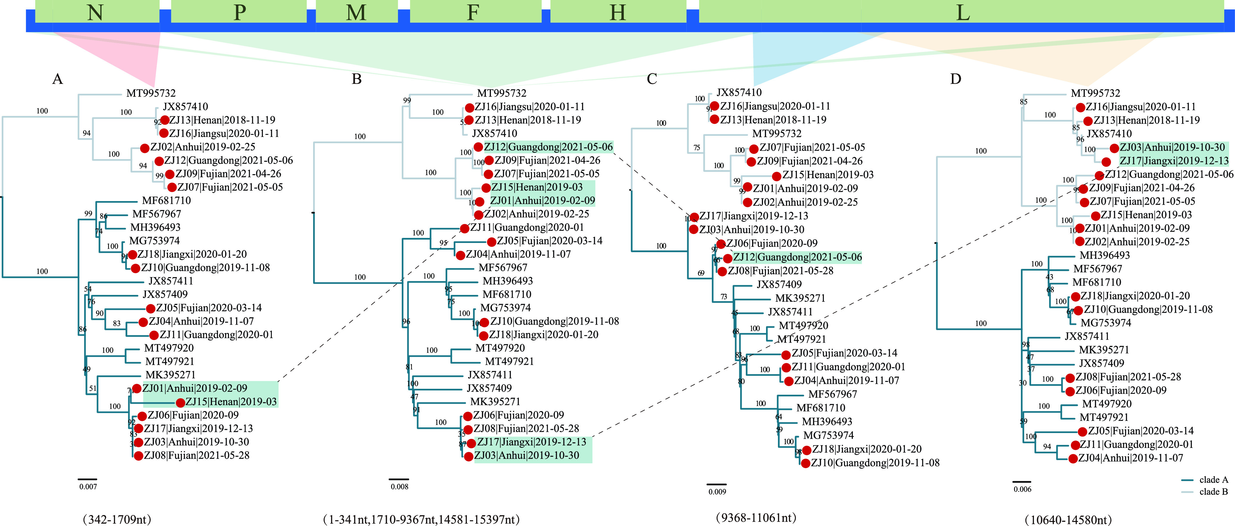 FIG 3