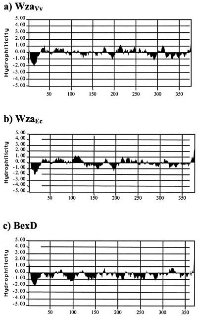 FIG. 5