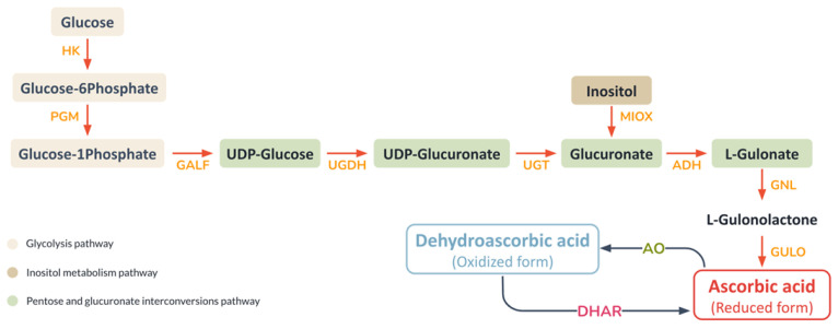 Figure 5