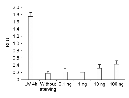 Figure 13