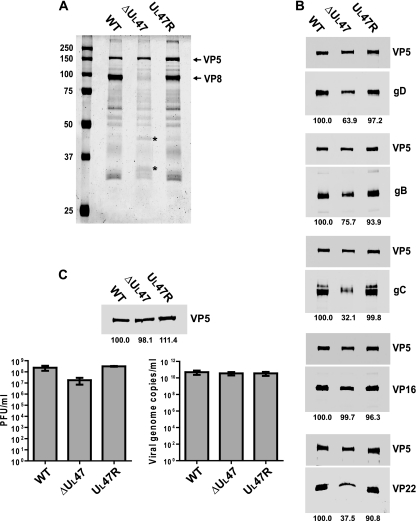 FIG. 5.