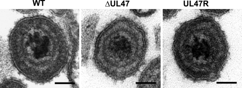 FIG. 7.