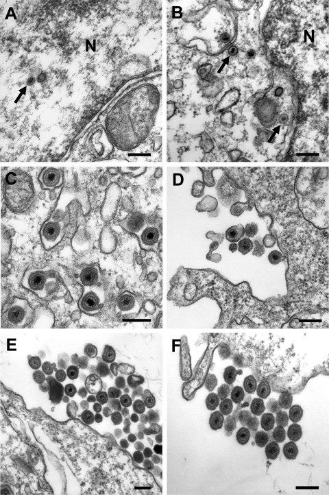 FIG. 6.