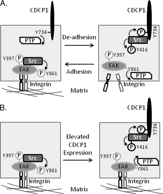 FIGURE 10.