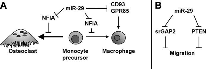 FIGURE 10.