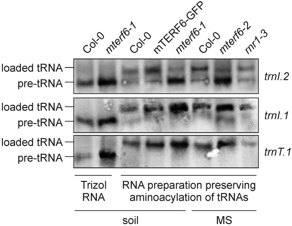 Figure 9.