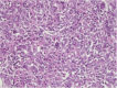 Figure 5: