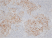 Figure 7: