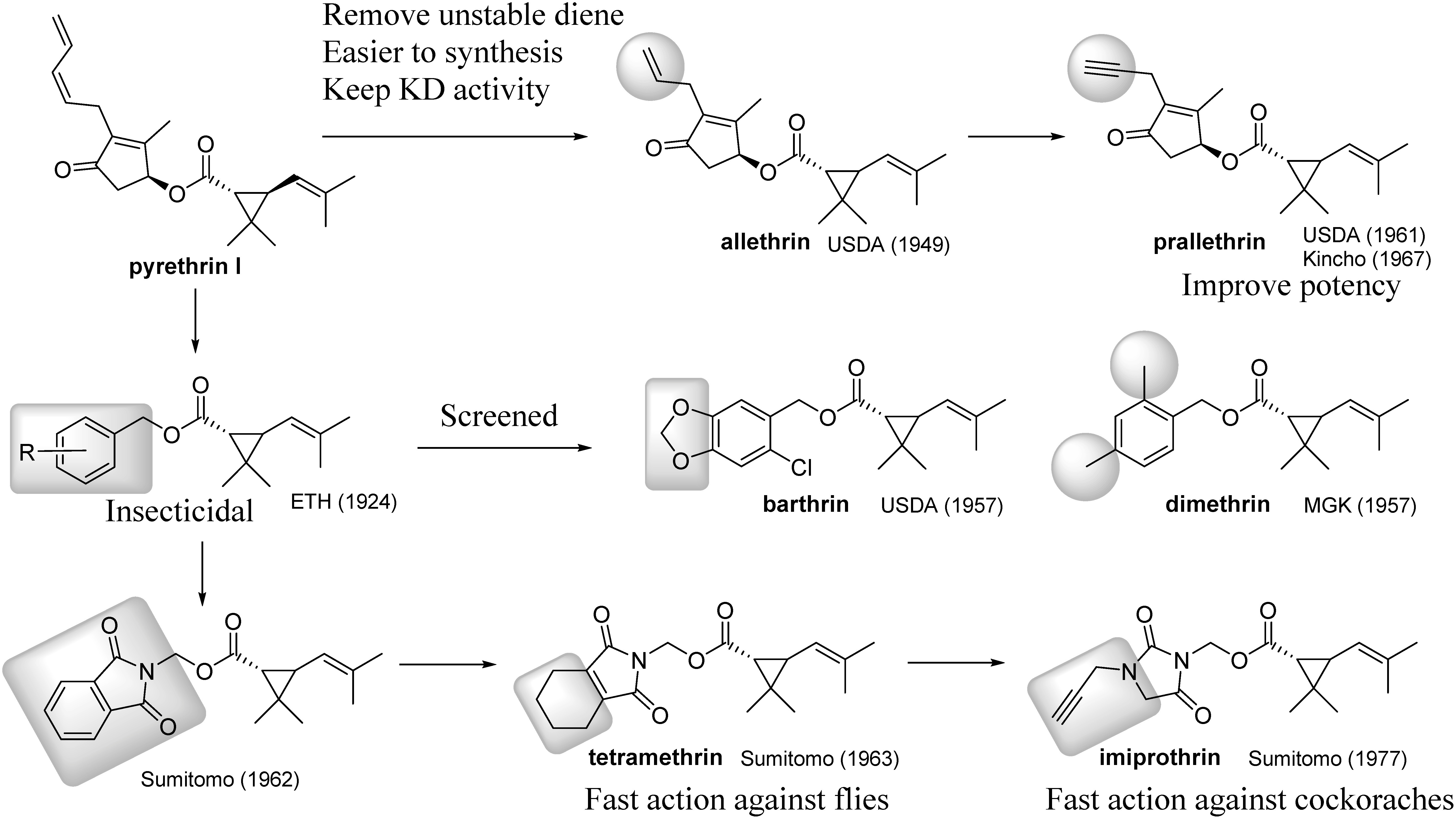 Fig. 3. Structural modifications of the alcohol part with the aim of improving fast action.