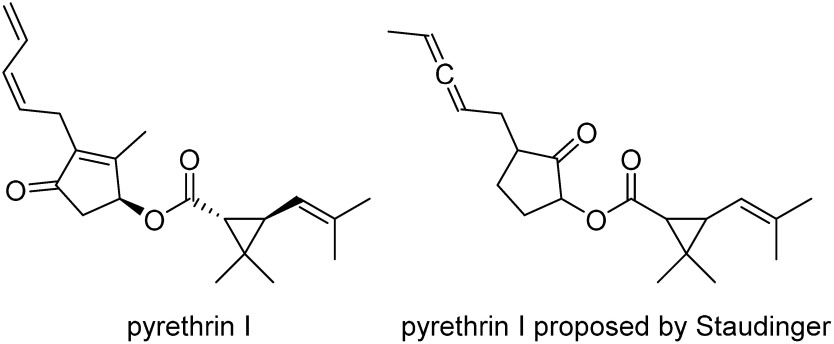 Fig. 1. Structure of pyrethrin I and the structure proposed by Stäudinger.6)