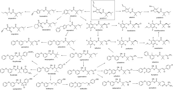 Fig. 2. Structural modification tree of pyrethroids. Most synthetic pyrethroids contain asymmetric carbons in their structures, and their insecticidal actions are very stereospecific. Commercialized products are either isomer mixtures, a single isomer, or various product specifications. In many cases, they have been replaced by a resolved form (chiral switch). Only the most important isomers are shown here. Generally, both cis- and trans-isomers on the cyclopropane ring are insecticidal, but cis-isomers are preferred in agricultural use and trans-isomers are preferred in household use; however, there are some exceptions.