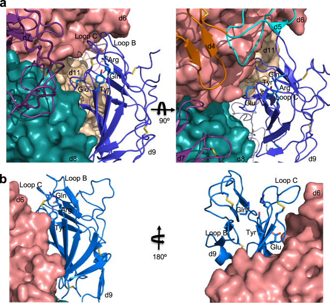 Fig. 8