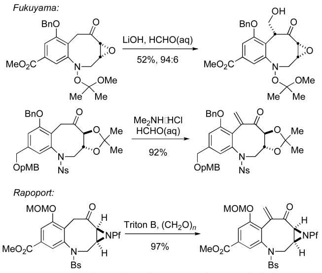 Scheme 4