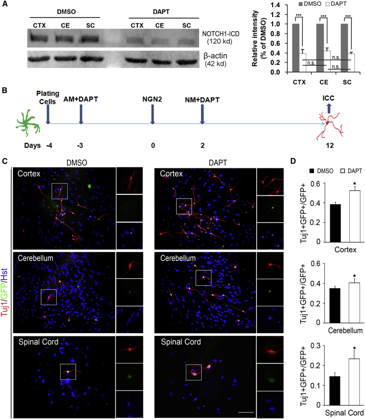 Figure 6