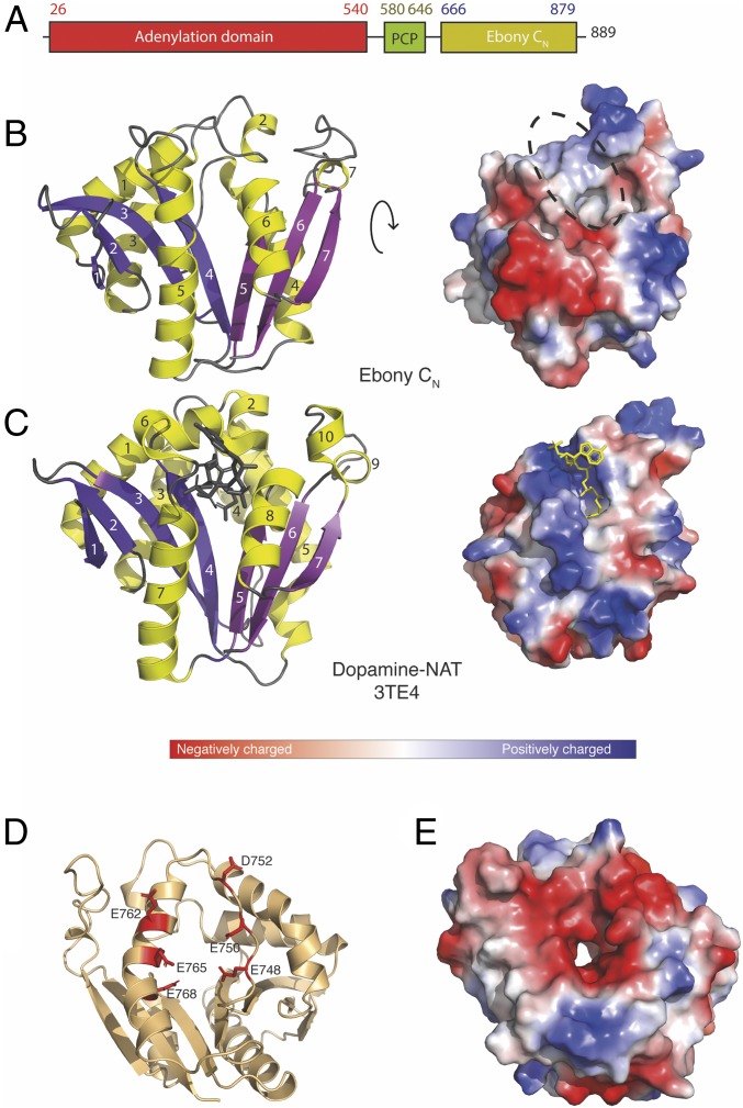 Fig. 2.