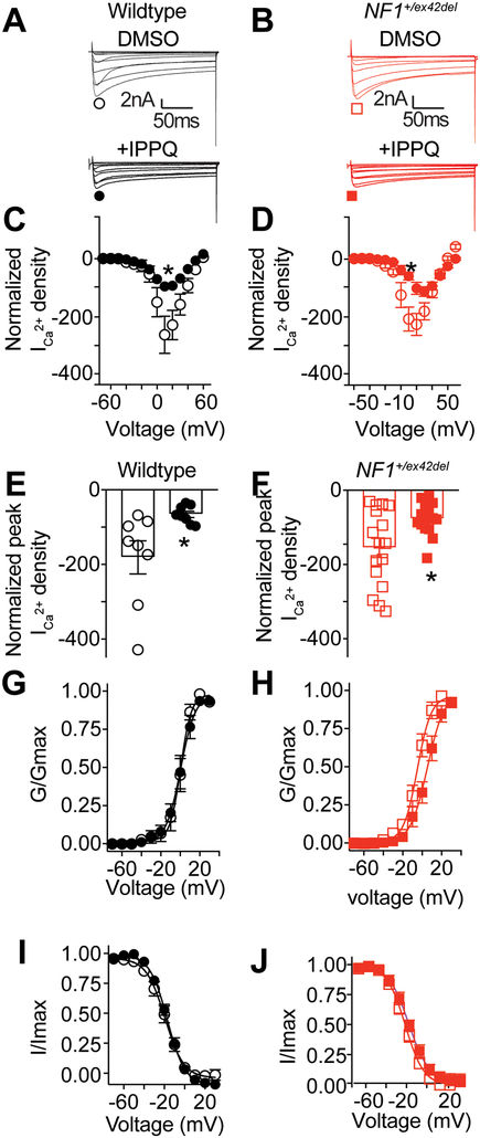 Figure 6: