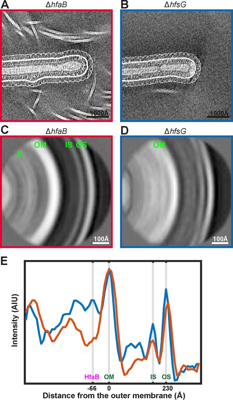 FIG 4