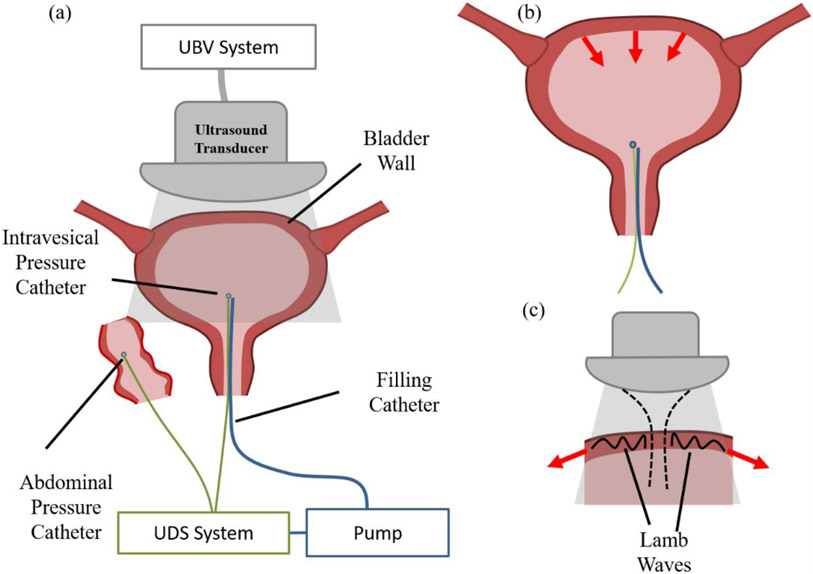 Figure 1: