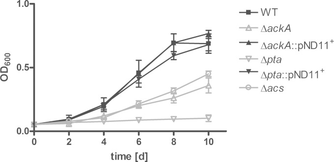 FIG 5