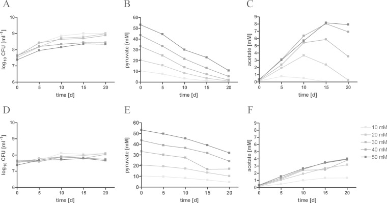 FIG 2