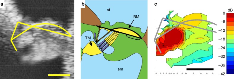 Fig. 2