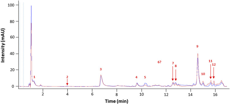 FIGURE 1