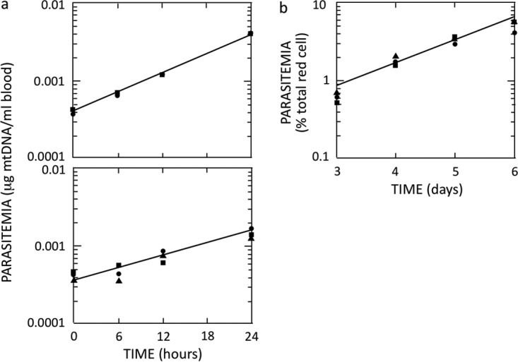 FIG 2