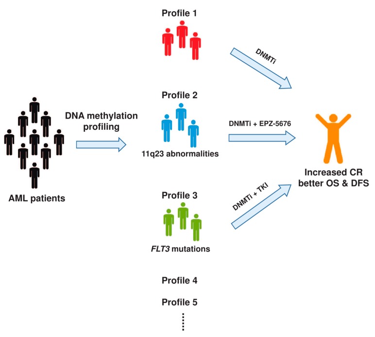 Aberrant DNA Methylation in Acute Myeloid Leukemia and Its Clinical ...