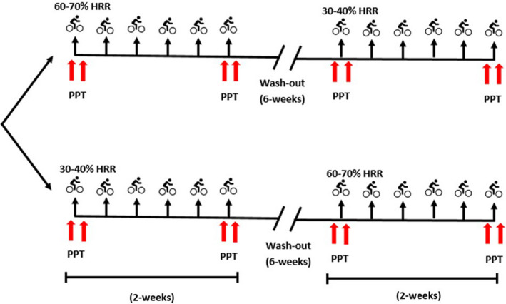 FIGURE 1