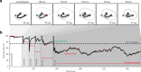 Extended Data Fig. 6