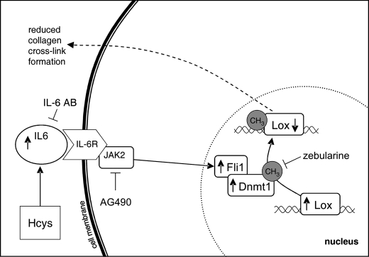 FIGURE 13.