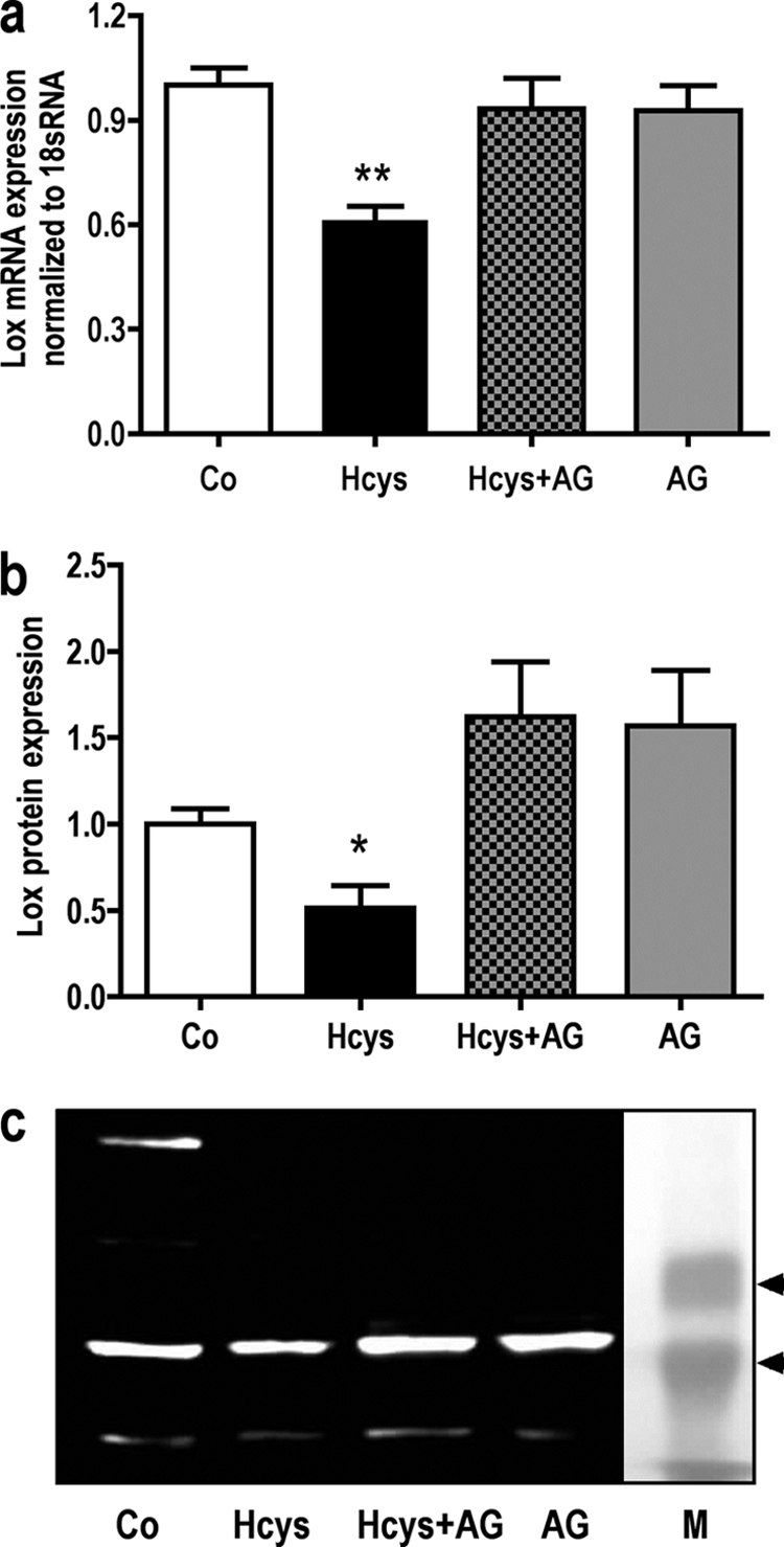 FIGURE 12.