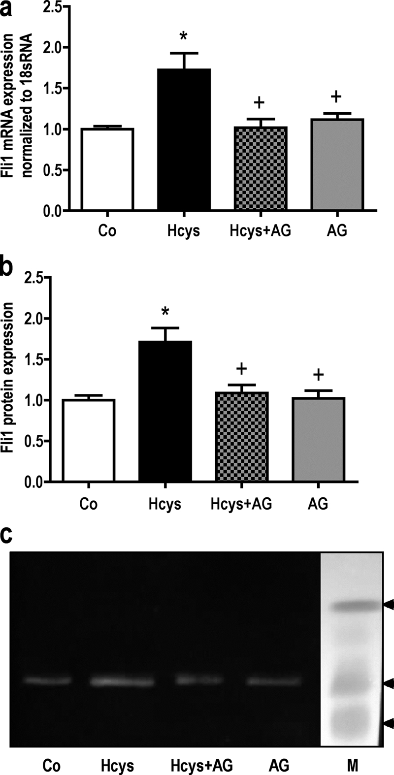 FIGURE 6.