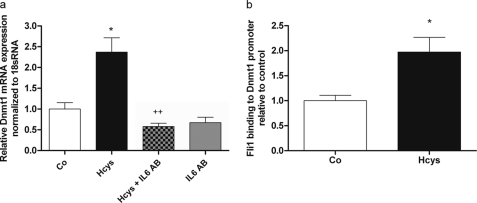 FIGURE 10.