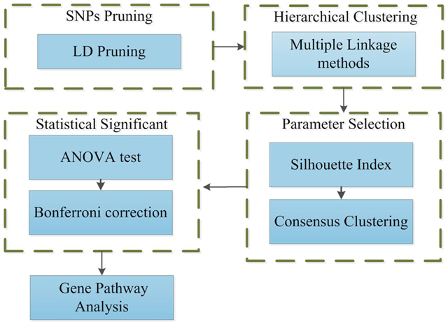 graphic file with name nihms-1033644-f0001.jpg