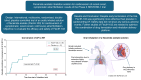 Graphical Abstract