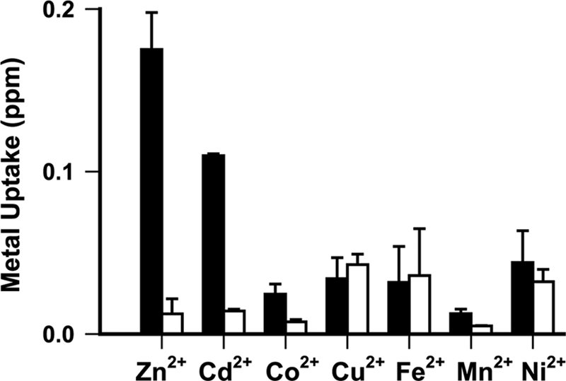 FIGURE 7.