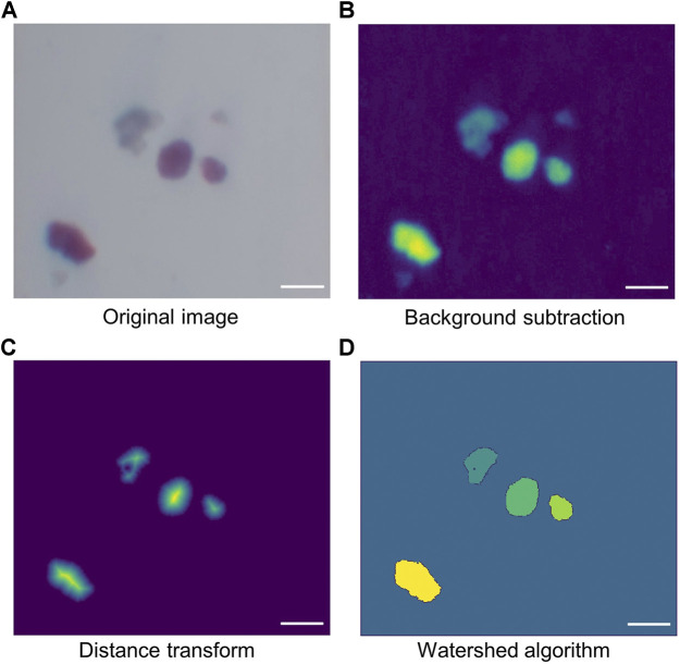 FIGURE 3