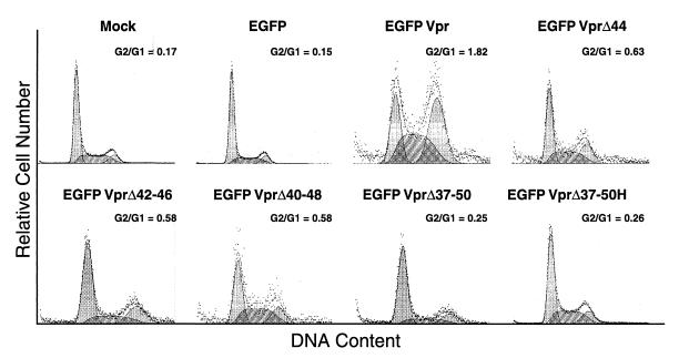 FIG. 6