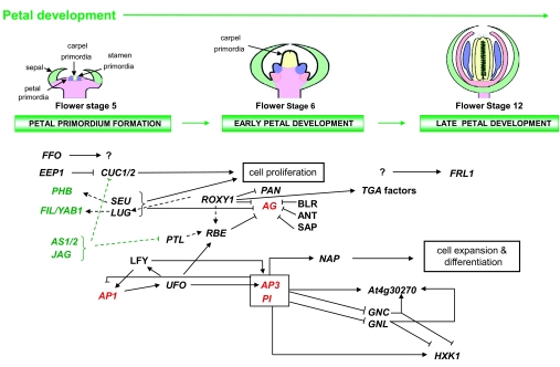 Figure 16.