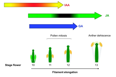 Figure 18.