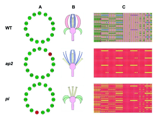 Figure 23.