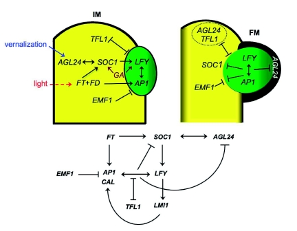 Figure 9.