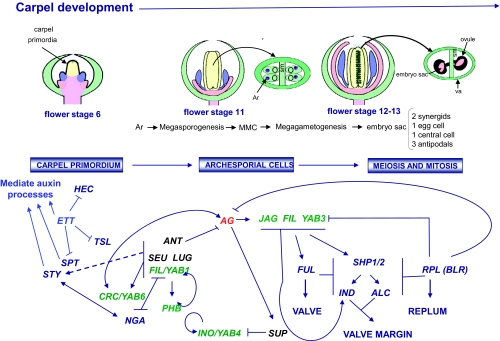 Figure 19.