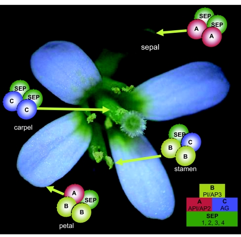 Figure 14.