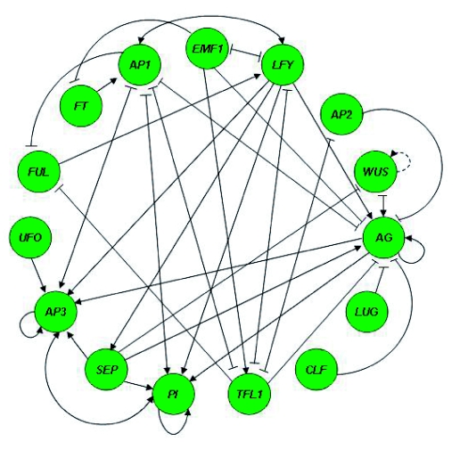 Figure 20.