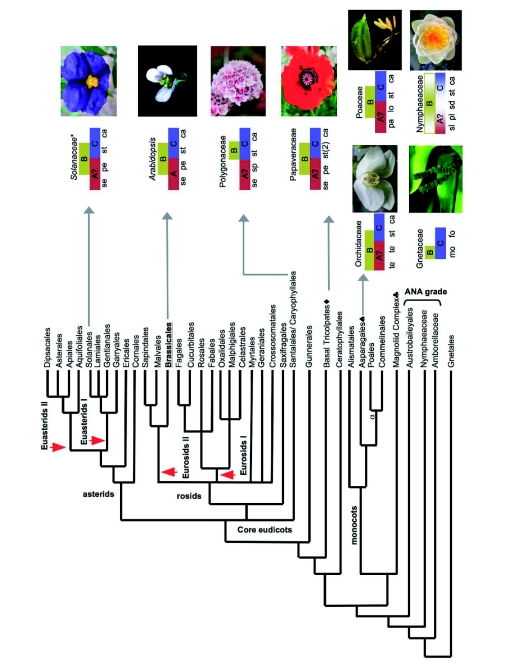 Figure 25.